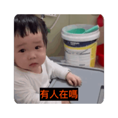 妹寶日常看蜥蜴