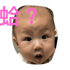 韮&香姐妹花
