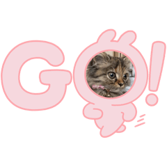 momo number1