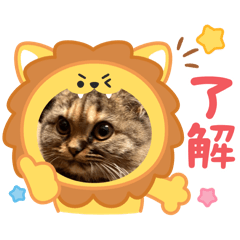 momo number2