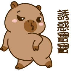 可愛的胖胖的水豚 V14 [叫寶寶啦]