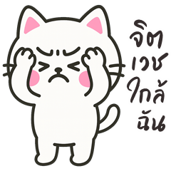 The Funny Cat (Big Stickers)