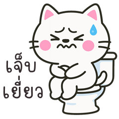 The Funny Cat (E-San)