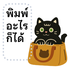 Black Cat So Cute Cat Message Sticker