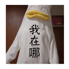 鴨芃專屬貼圖