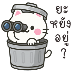 The Funny Cat (Kum-muang)