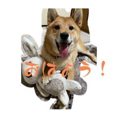 chi_20250731230312