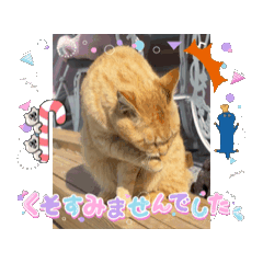 shin_20250801140933