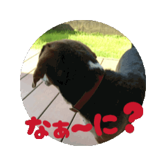 EIKO_20250801225929