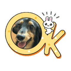 cho_ko