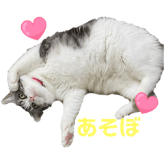 apple_20250801114912