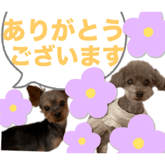 yukari_20250801130616