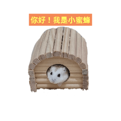你好！我是倉鼠小蜜蜂