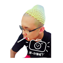 kiwicat