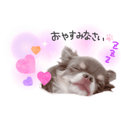 Emily_20250801121322