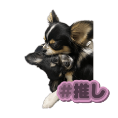 sakunosuke_20250801120507