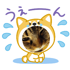 koko_20250801153954