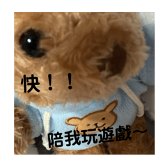 熊熊熊好帥～～