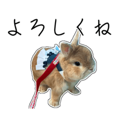 Rabbit Sakura-chan's stamp