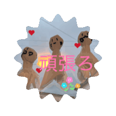 momo_20250801172119