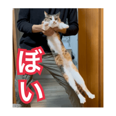 POPOTEN_20250801162314