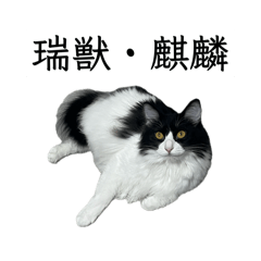 ももちゃんでち3