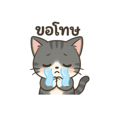 sunsanee_20250801164604