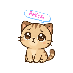 happy_20250801183254