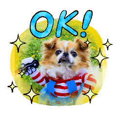 家裡的寶貝蛋們～