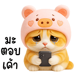 แมวส้มหมวกหมูน่ารัก