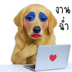 Gorgeous Golden Face