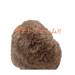 yu-dai_20250731180046