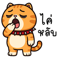 Cheeky Orange Cat (Kum-muang)