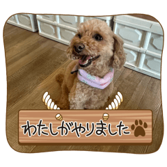 Hernia_20250802103337