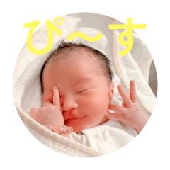 daichi_20250802160725