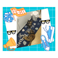 yama_20250802170832