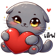 Cute, short-eared, gray cat