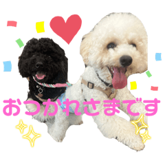 iroharu_20250801183637