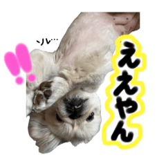 Happy_20250802104331