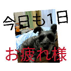 yuki_20250802212735