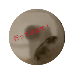 Hinata_20250802232345