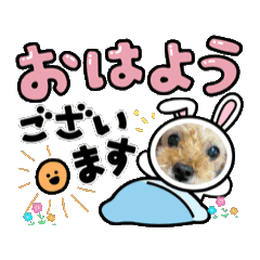 Mami_kukumimi2