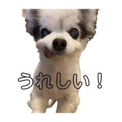 Kaori_20250801211106