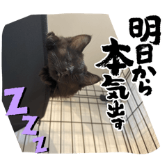 dumchan_20250801210858