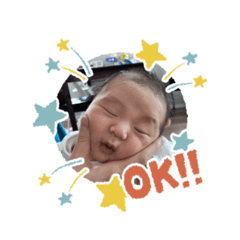 ringo_20250801214749