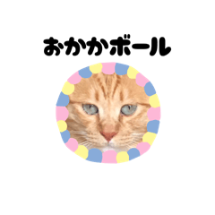 tommy_20250802134202