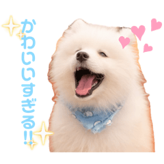 nanana_20250802201308