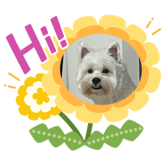 西高地日記（二）