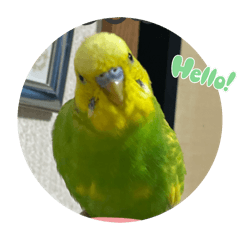 Hayato_20250802221550