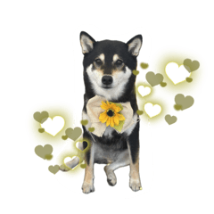 himawari_20250802222136